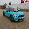 Teal Pearl Pigment
