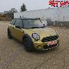 Flash Gold Pearl Pigment