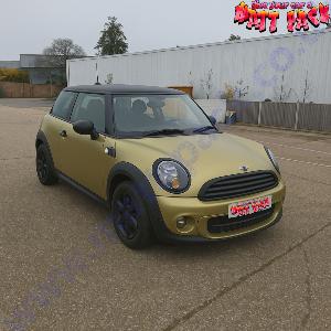 Flash Gold Pearl Pigment