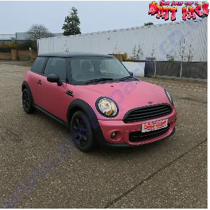 BubbleGum Pink Pearl Pigment