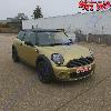 Flash Gold Pearl Pigment